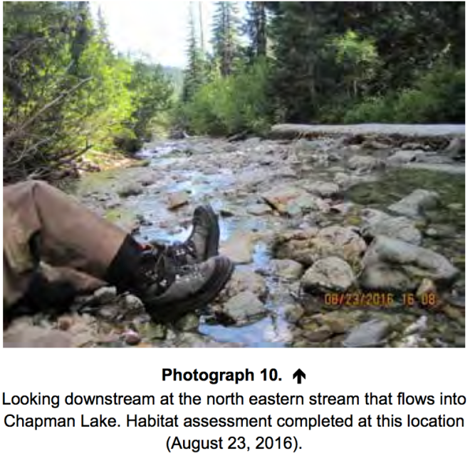 screen-shot-2017-02-12-at-2-59-24-pm