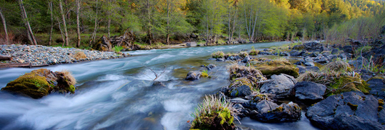 Screen Shot 2018-09-10 at 8.13.42 PM